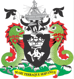 NPA logo